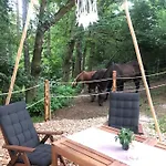 Glamping Nad Meandry 럭셔리텐트