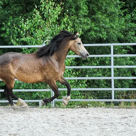 Glamping Nad Meandry * Unhošť
