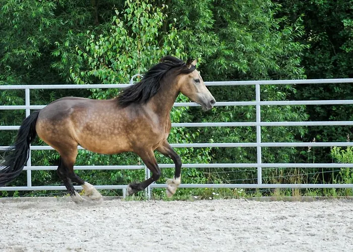 Glamping Nad Meandry * Унхошт