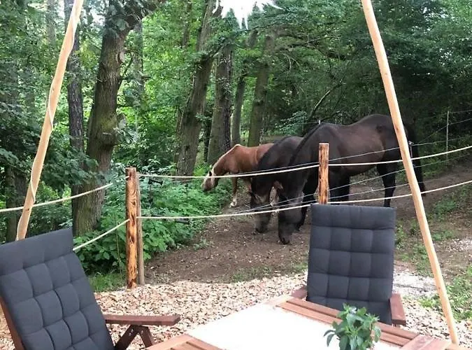 Glamping Nad Meandry ラグジュアリーテント